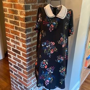 Molly Bracken collared short sleeve dress